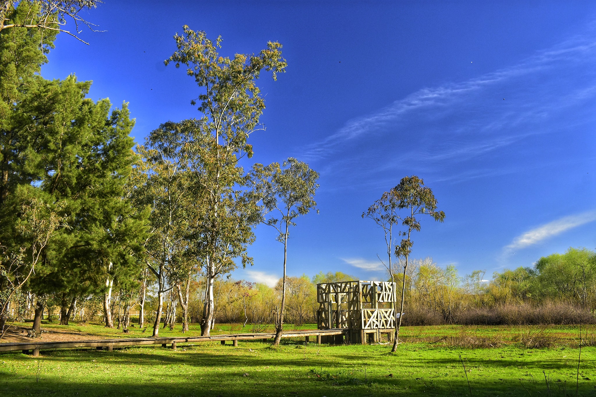 Avistamiento de Aves en los Humedales del Río Yí