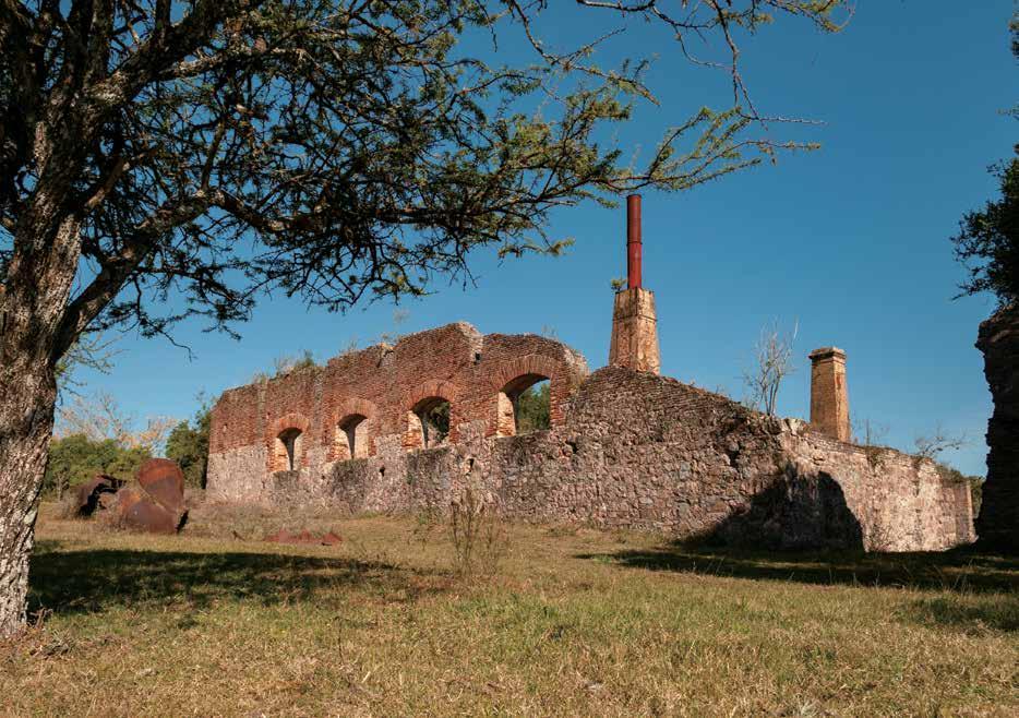 Saladero Guaviyú