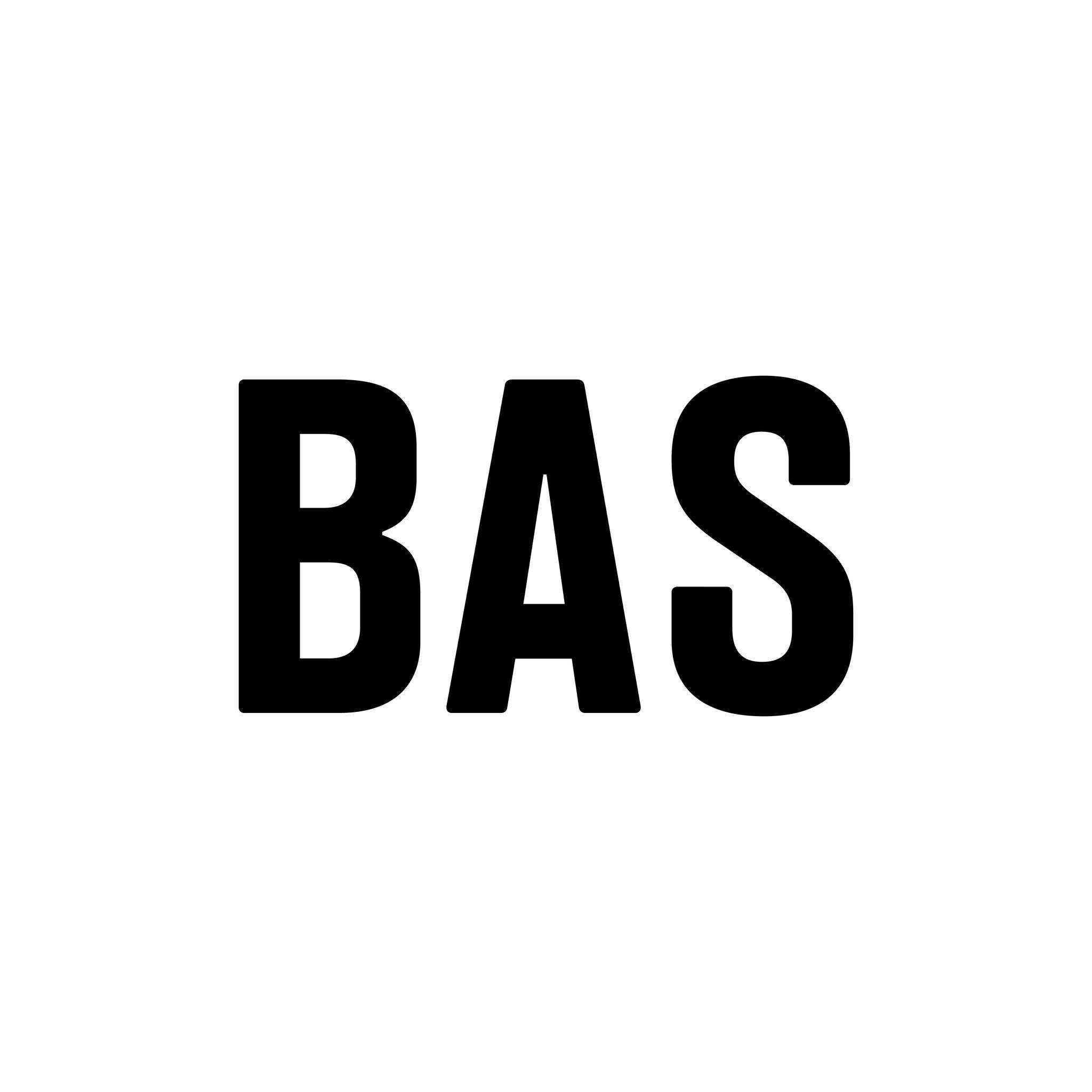 BAS – Salto Shopping