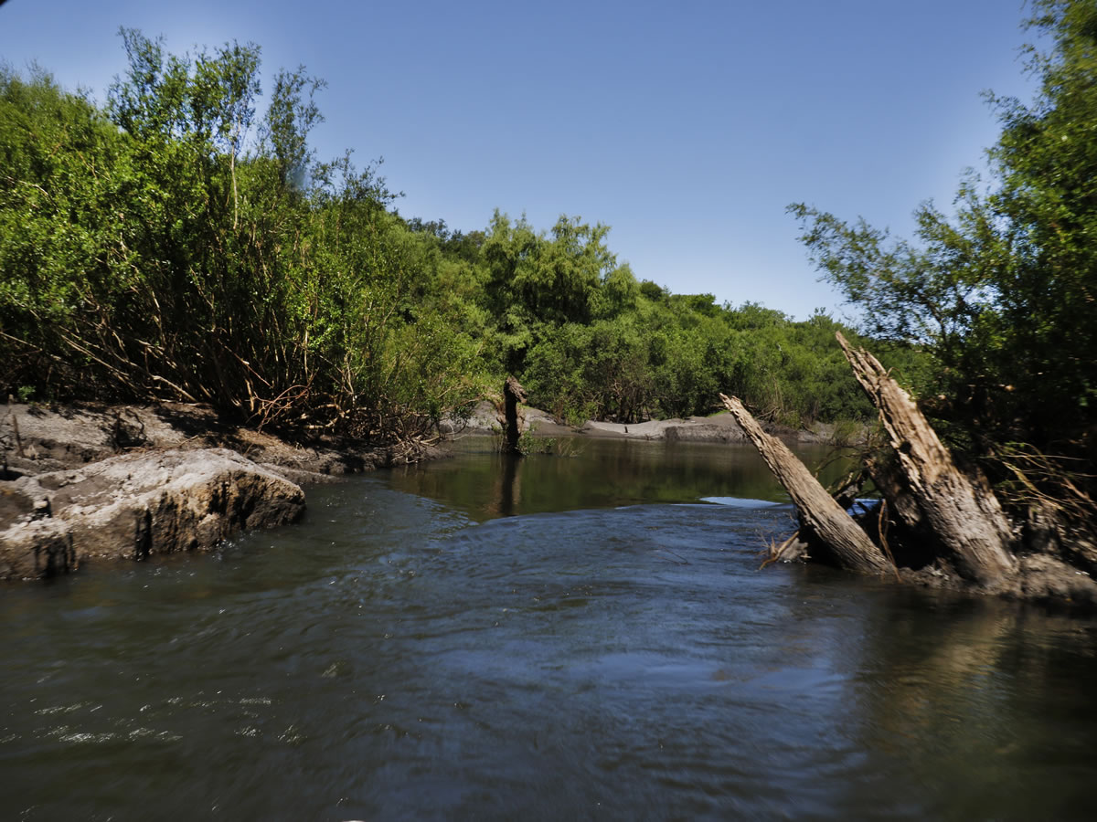 Área Protegida Montes del Queguay
