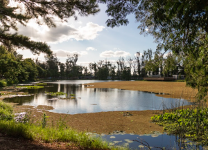Laguna de las Lavanderas