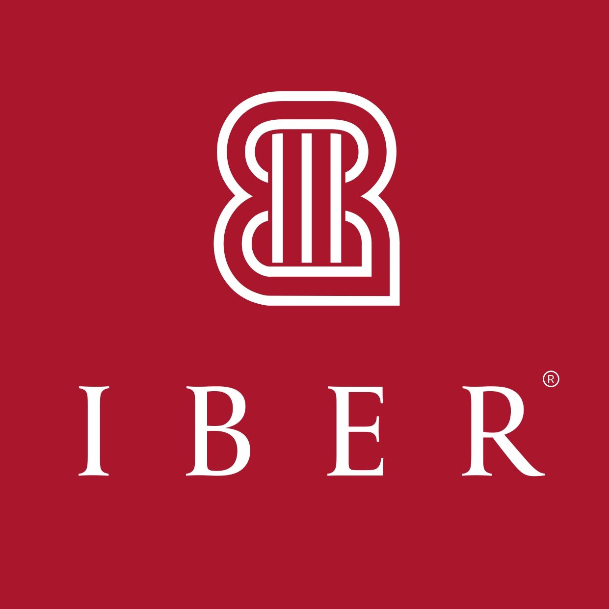 Iber – Salto Shopping