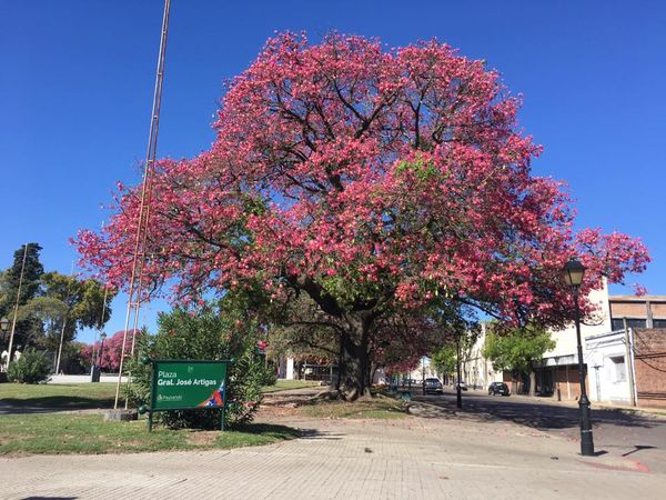 Plaza Artigas 